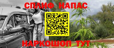 прущие крисы Кунгур