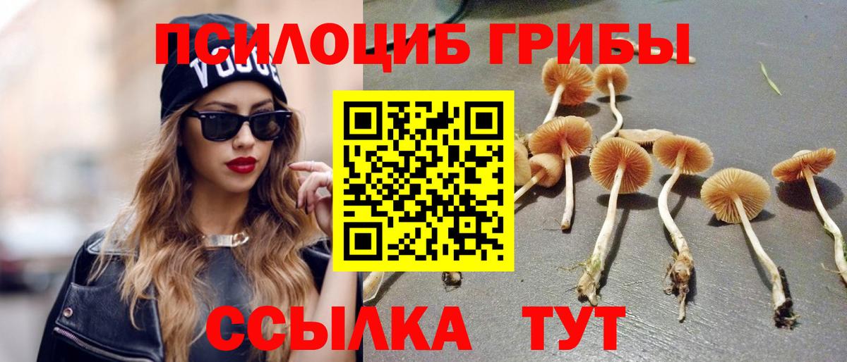 Галлюциногенные грибы прущие грибы  сколько стоит  Галлюциногенные грибы мухоморы  Хабаровск  Вход с VPN 